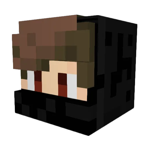 Phinix00 Minecraft avatar head, 3D render