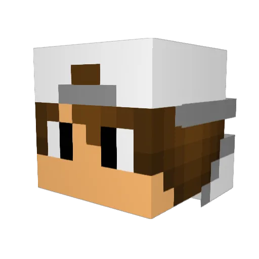 Phippu Minecraft avatar head, 3D render