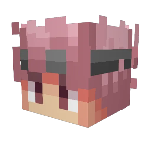 PhirionsDeadDad Minecraft avatar head, 3D render