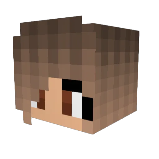 Phishmaker Minecraft avatar head, 3D render