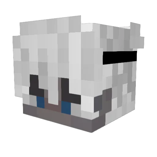 Phixes Minecraft avatar head, 3D render
