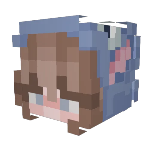 Phixfeiss Minecraft avatar head, 3D render