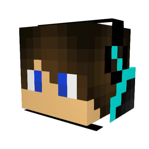 Phixs_Officiel Minecraft avatar head, 3D render