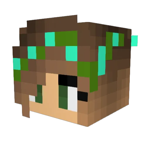 Phlower14 Minecraft avatar head, 3D render
