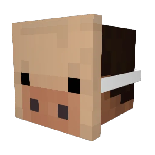 Pho_CA Minecraft avatar head, 3D render
