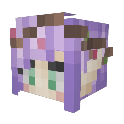PhobicFerret455 Minecraft avatar head, 3D render