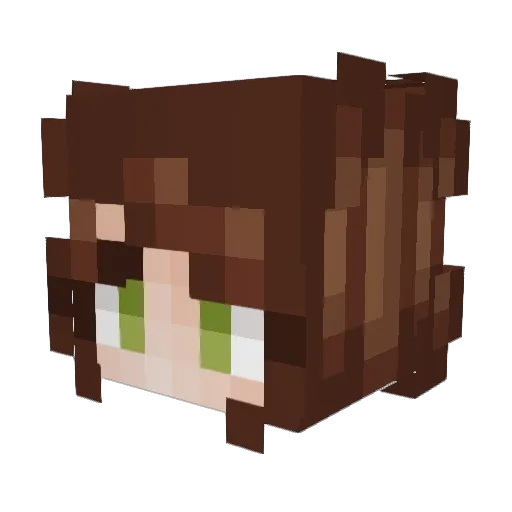 Phoebe_the_Bat Minecraft avatar head, 3D render