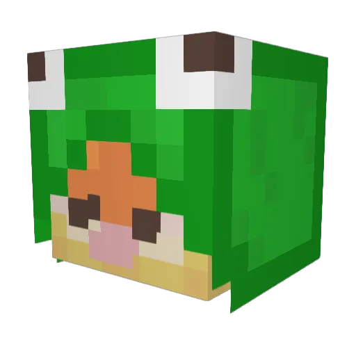 Phoebedi Minecraft avatar head, 3D render
