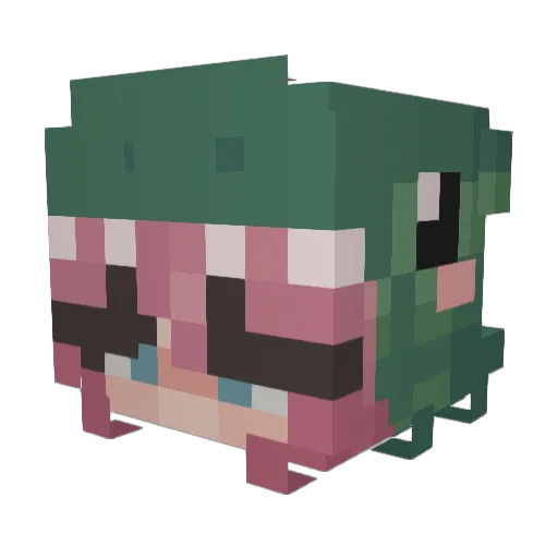 Phoebeepp Minecraft avatar head, 3D render