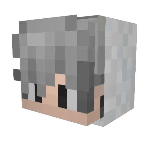 Phoeni_X02 Minecraft avatar head, 3D render