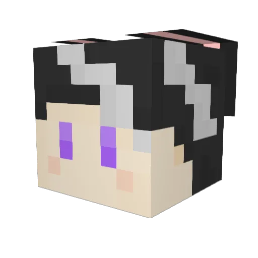 Phoenix1816 Minecraft avatar head, 3D render