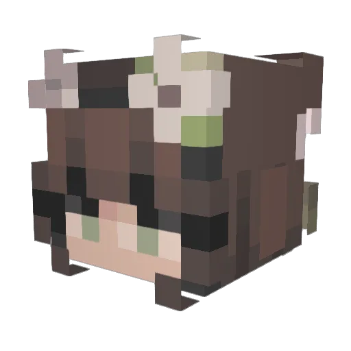 Phoenix2247 Minecraft avatar head, 3D render