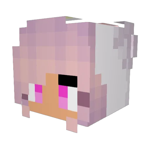 Phoenix66256 Minecraft avatar head, 3D render