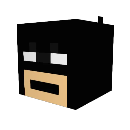Phoenix7351 Minecraft avatar head, 3D render