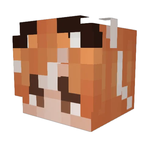 PhoenixAcidd Minecraft avatar head, 3D render
