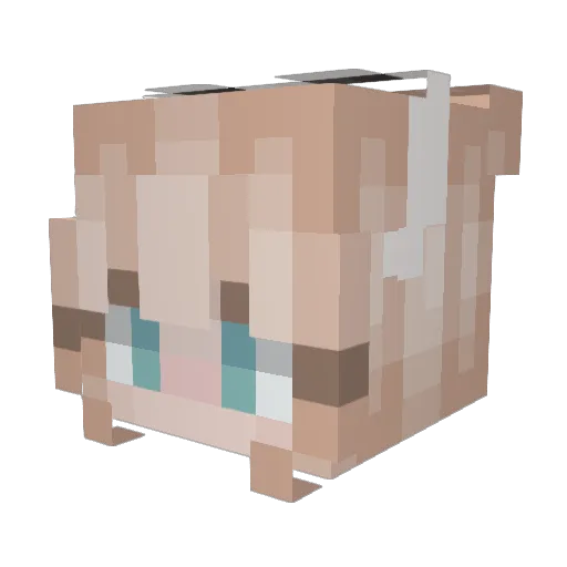 PhoenixAngel234 Minecraft avatar head, 3D render