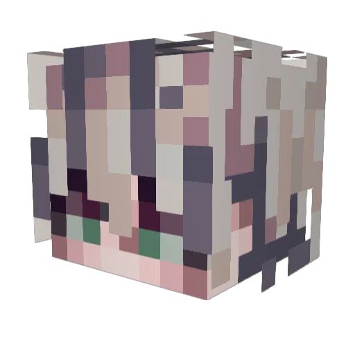 PhoenixAnime12 Minecraft avatar head, 3D render