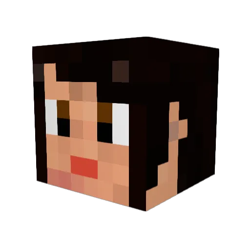 PhoenixAshes14 Minecraft avatar head, 3D render