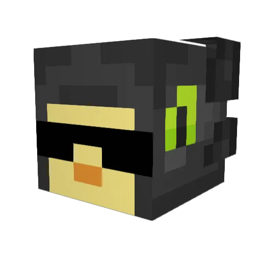 PhoenixBird101 Minecraft avatar head, 3D render