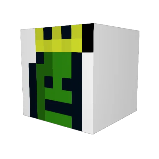 PhoenixBrother Minecraft avatar head, 3D render