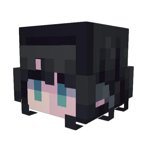 PhoenixFart Minecraft avatar head, 3D render