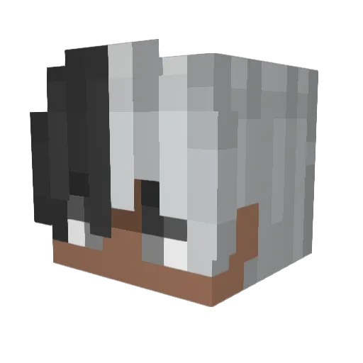 PhoenixGhost Minecraft avatar head, 3D render