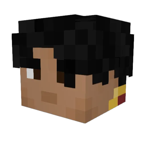 PhoenixKing311 Minecraft avatar head, 3D render