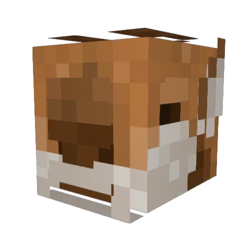 PhoenixLordZ Minecraft avatar head, 3D render