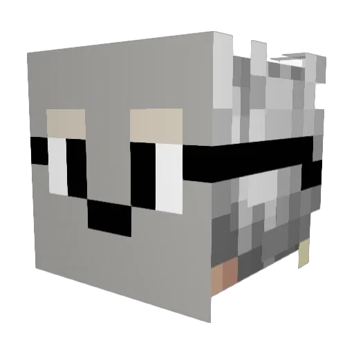 PhoenixMJL Minecraft avatar head, 3D render