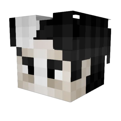 PhoenixMineC Minecraft avatar head, 3D render