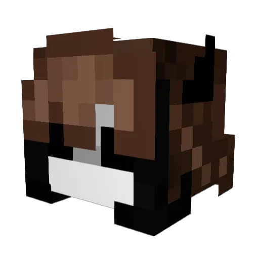 PhoenixMoonie Minecraft avatar head, 3D render