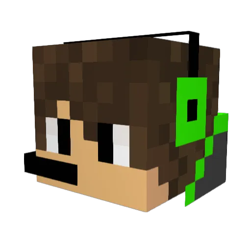 PhoenixPlay98 Minecraft avatar head, 3D render