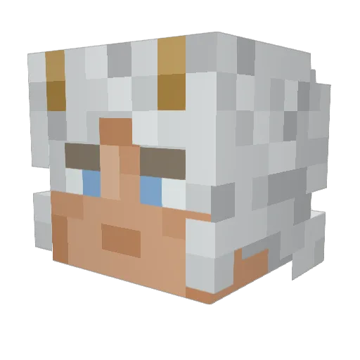PhoenixQC21 Minecraft avatar head, 3D render