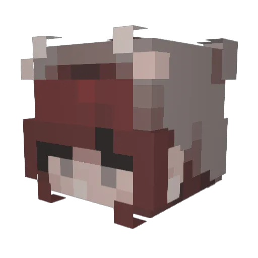 Phoenix_Blossom Minecraft avatar head, 3D render