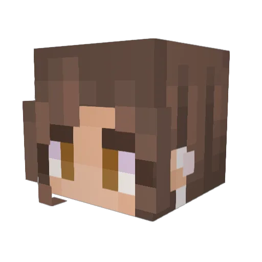 Phoenix_Kirby Minecraft avatar head, 3D render