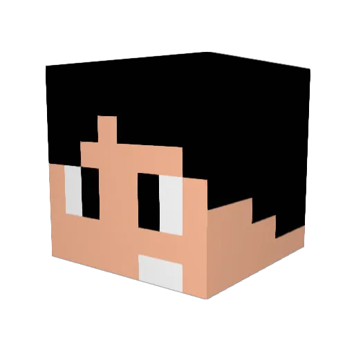Phoenixfox98 Minecraft avatar head, 3D render