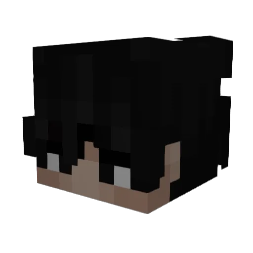 PholyMorphous Minecraft avatar head, 3D render