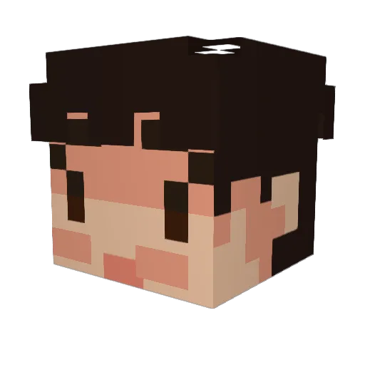 PhooeyDuck Minecraft avatar head, 3D render