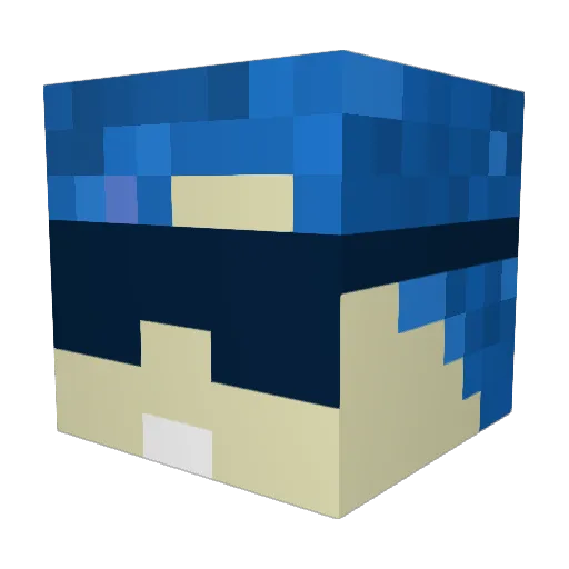 Phoom1456 Minecraft avatar head, 3D render