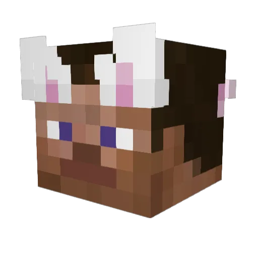Phoompa Minecraft avatar head, 3D render