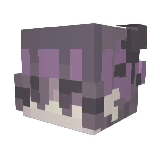 Phorsy Minecraft avatar head, 3D render