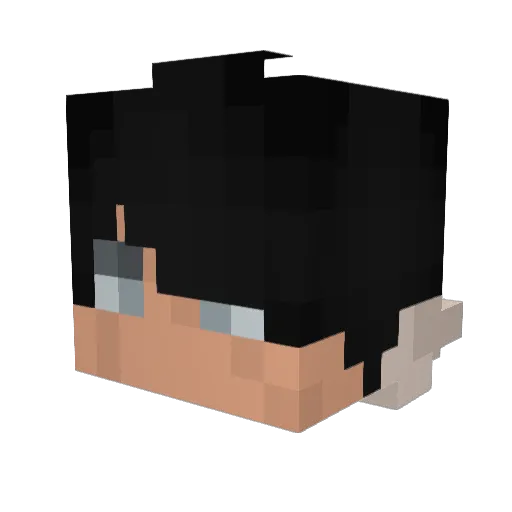Phos111 Minecraft avatar head, 3D render