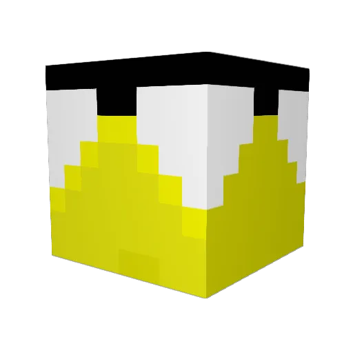 Photoshop690 Minecraft avatar head, 3D render