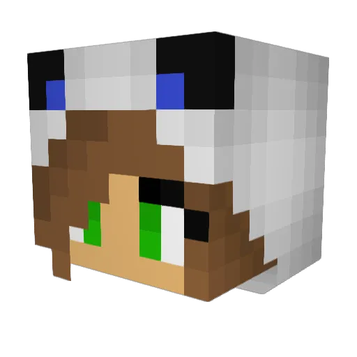 Phoubs_Panda08 Minecraft avatar head, 3D render