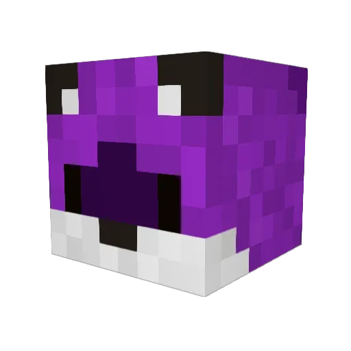 Phox4 Minecraft avatar head, 3D render