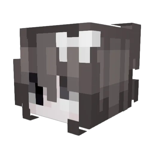 Minecraft-Avatar von Phoxx12: Kopf als 3D-Render