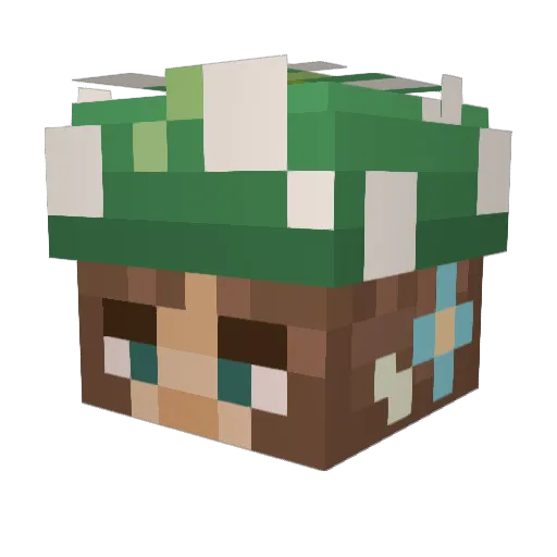 Phrauwg Minecraft avatar head, 3D render