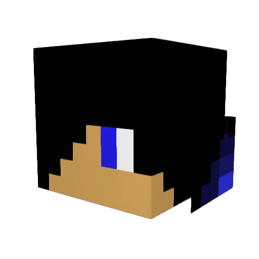 Phrdv2001 Minecraft avatar head, 3D render