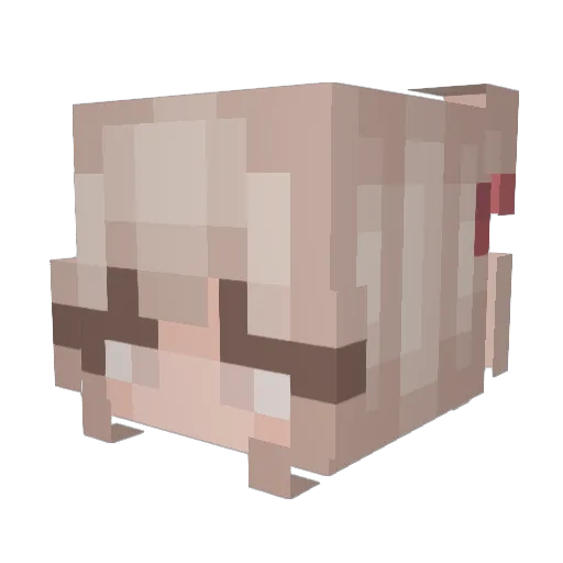 Phredi Minecraft avatar head, 3D render