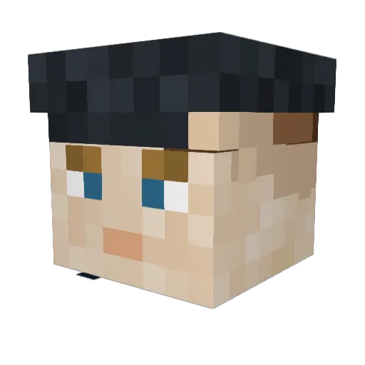 Phrog0_o Minecraft avatar head, 3D render